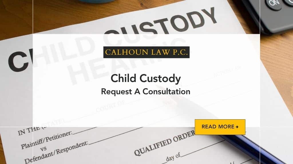 child custody cover image